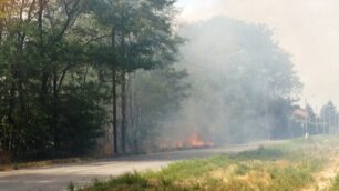 A fuoco i campi vicino alle caseDomato l’incendio di Concorezzo