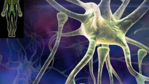 Dolore neuropaticoColpa di un gene