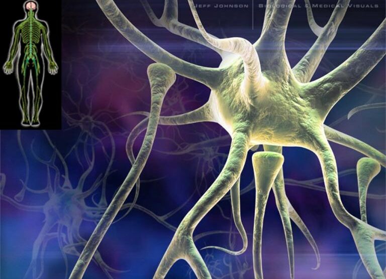 Dolore neuropaticoColpa di un gene