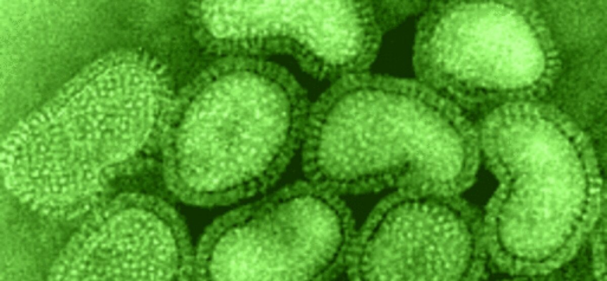 Influenza 2013/14Si pensa al vaccino