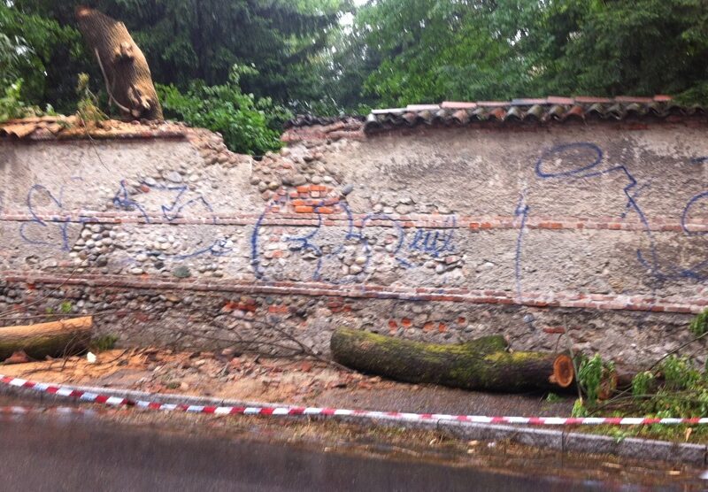 Monza, albero colpito da un fulmine