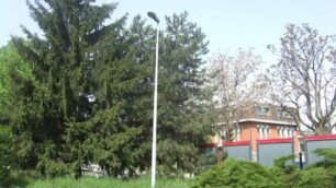 I lampioni danneggiati di via Piemonte
