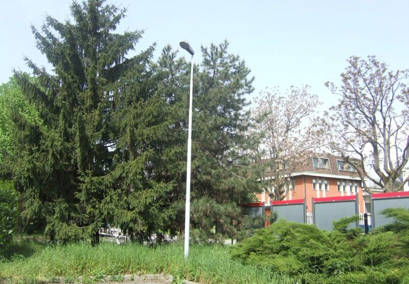 I lampioni danneggiati di via Piemonte