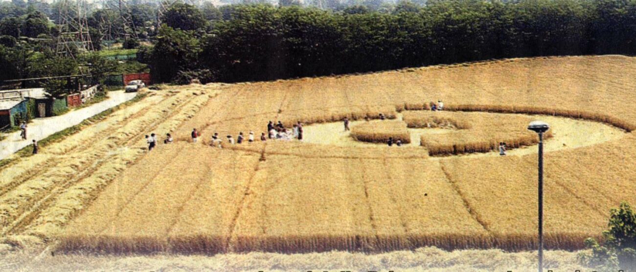 A Desio nel 2004 crop di 36 metri e tanti inspiegabili fenomeni