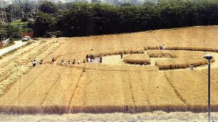 A Desio nel 2004 crop di 36 metri e tanti inspiegabili fenomeni