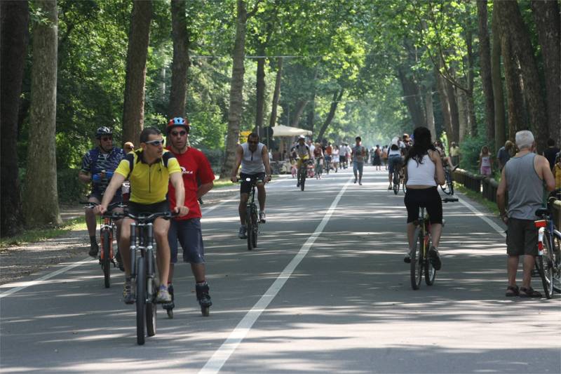 Monza, viale Cavriga