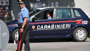 Sono intervenuti  i carabinieri di Agrate