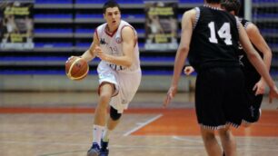 Basket, Niccolò De Vico