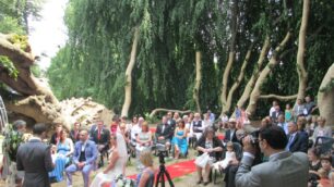 Besana, il matrimonio sotto il faggio bicentenario