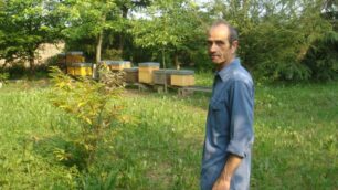 Franco Mauri, apicoltore
