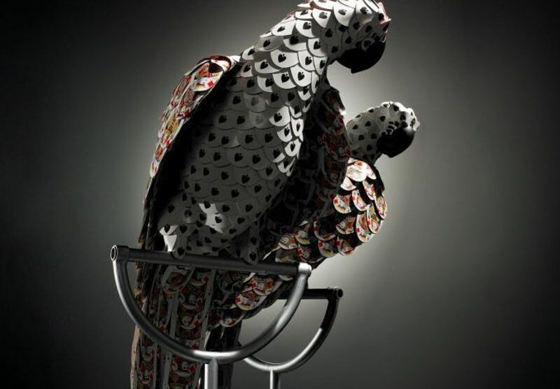 Nicola Bolla, Parrot player 2000-2003
