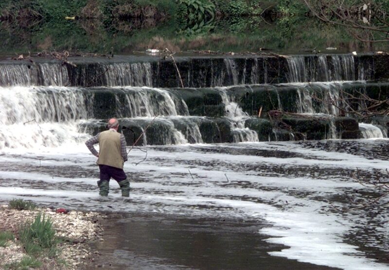 A pesca nel Lambro nel parco di Monza