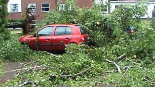 Giussano: l’albero caduto davanti al Pronto soccorso del Borella (foto Marzorati)