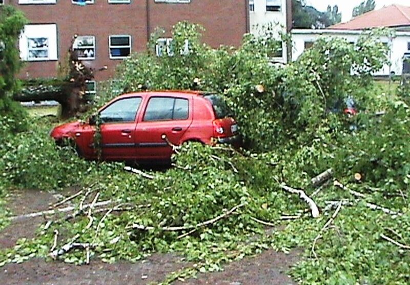 Giussano: l’albero caduto davanti al Pronto soccorso del Borella (foto Marzorati)