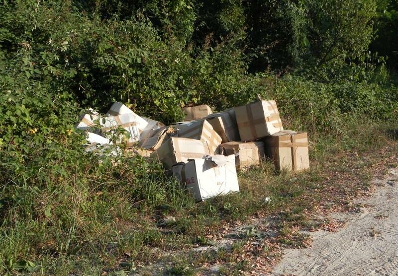 Discarica abusiva a Biassono