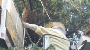 La Protezione civile al lavoro ai giardinetti di Limbiate.