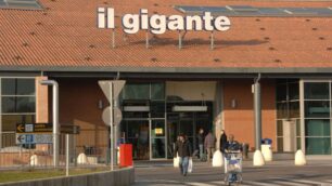 Il Gigante di Usmate Velate