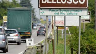 UIl ladro è stato fermato tra Bellusco e Busnago