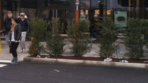 Il Mc Donald di Desio.
