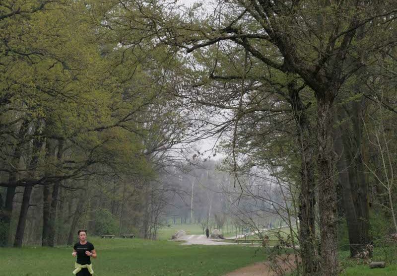 Il parco di Monza