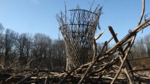 La Voliera per umani nel parco di Monza dopo il crollo