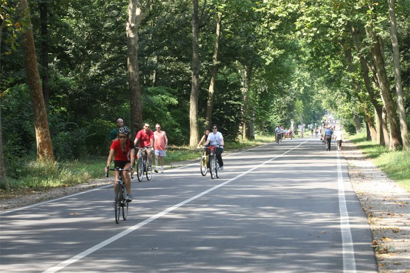 Il parco di Monza