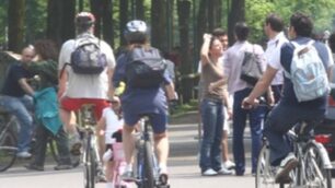 Biciclette nel parco di Monza.