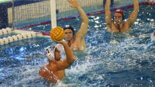 Monza, pallanuoto serie A2: Bpm Sport Management batte Chiavari 7-6