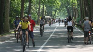 Viale Cavriga all’interno del parco di Monza