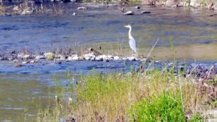 Una veduta del fiume nel Parco Valle Lambro