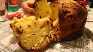 I lavoratori Micron hanno donato il panettone aziendale a Caritas, Banco Alimentare e Piramide