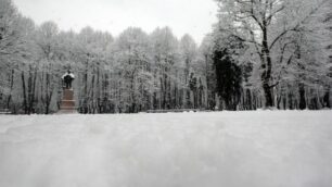 I boschetti di Villa Reale coperti da una abbondante nevicata