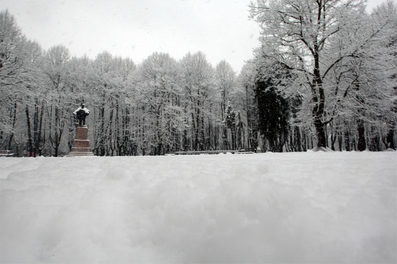 I boschetti di Villa Reale coperti da una abbondante nevicata