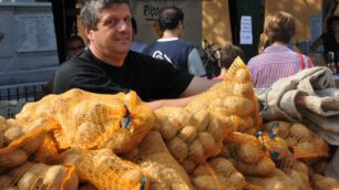 Le patate sono protagoniste delle omonime sagre di Oreno e Lazzate