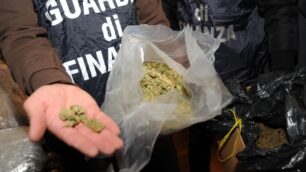 Maxi sequestro di droga della guardia di finanza a Bari