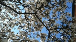 Cielo di primavera a Monza