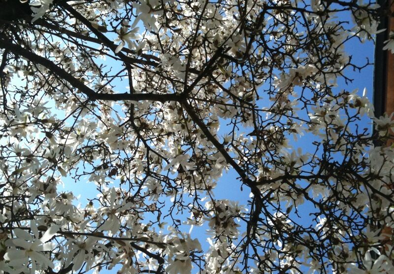 Cielo di primavera a Monza