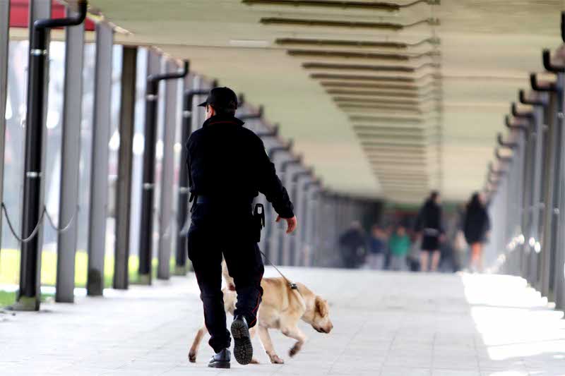 Controlli dei carabinieri nelle scuole coi cani antidroga