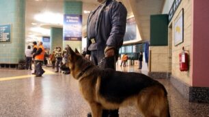 Un finanziere all’aeroporto di Malpensa