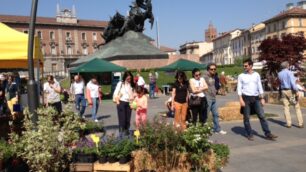 In piazza Trento e Trieste a cercare il fiore giusto