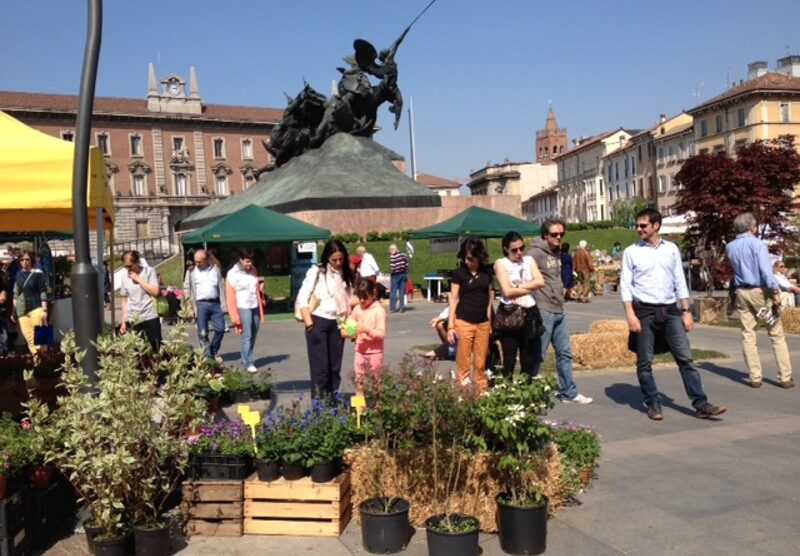 In piazza Trento e Trieste a cercare il fiore giusto