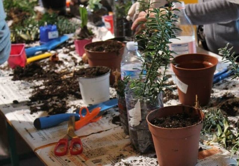 Anche “Piccolo orto moderno” tra i laboratori di Avec le parapluie