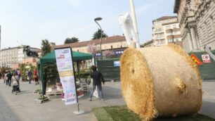 Monza si prepara a Expo 2015 con un fine settimana tutto dedicato ad ambiente e alimentazione.