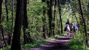 A cavallo nel parco, a Solaro c’è stato un incidente