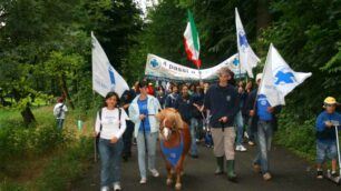 Quattro passi a quattro zampe nel parco