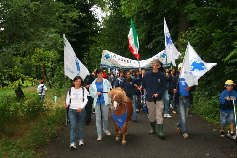 Quattro passi a quattro zampe nel parco