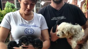 I volontari dell’Enpa con Mary e i suoi cuccioli, trovati nella favela di Monza