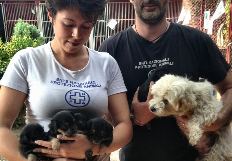 I volontari dell’Enpa con Mary e i suoi cuccioli, trovati nella favela di Monza