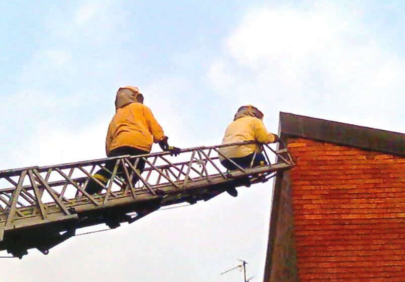 Al lavoro per rimuovere un nido di vespe