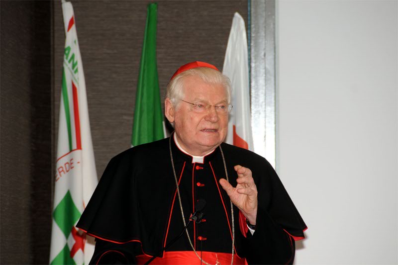 L’arcivescovo di Milano  cardinal Angelo Scola